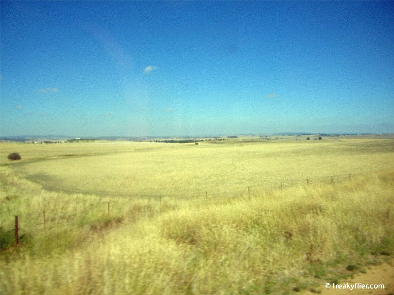 The green and gold landscape