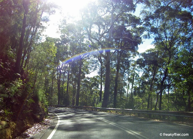 Driving through the Royal National Park
