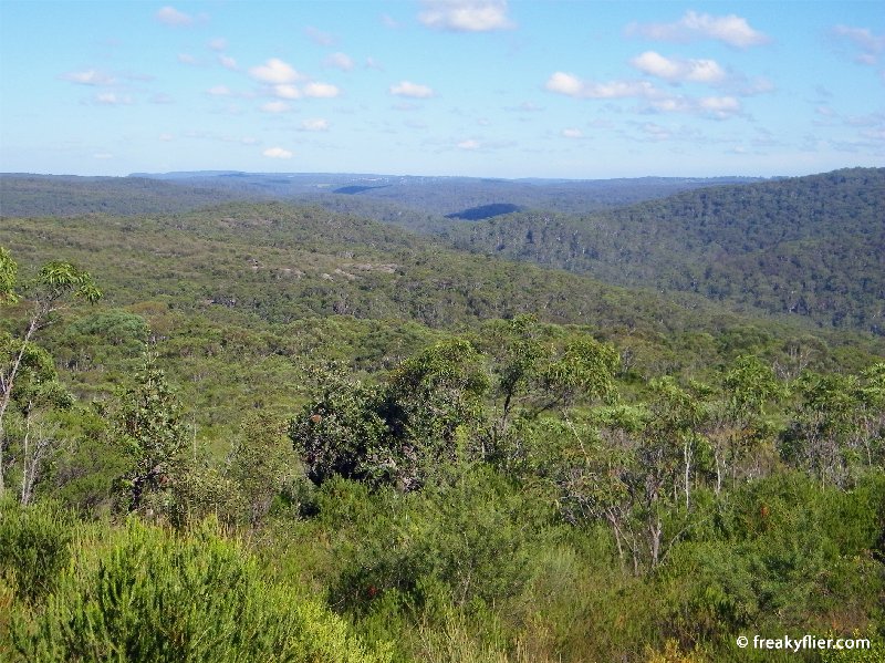 A view of The Royal National Park