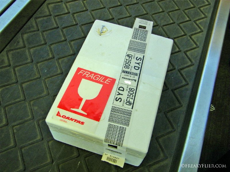 The oyster box bag tagged and ready to fly