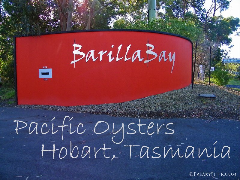 Barilla Bay Pacific Oysters, Hobart, Tasmania