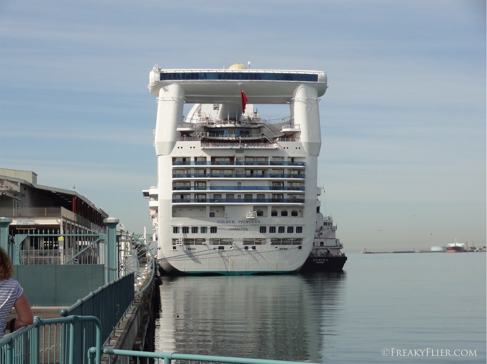 She's got a big bum that Golden Princess